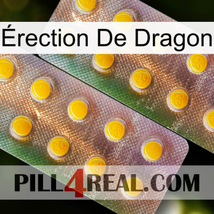 Érection De Dragon new10